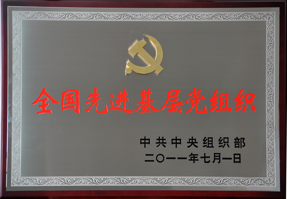 2011年7月，云顶集团3118集团党委荣获“全国先进基层党组织”称号